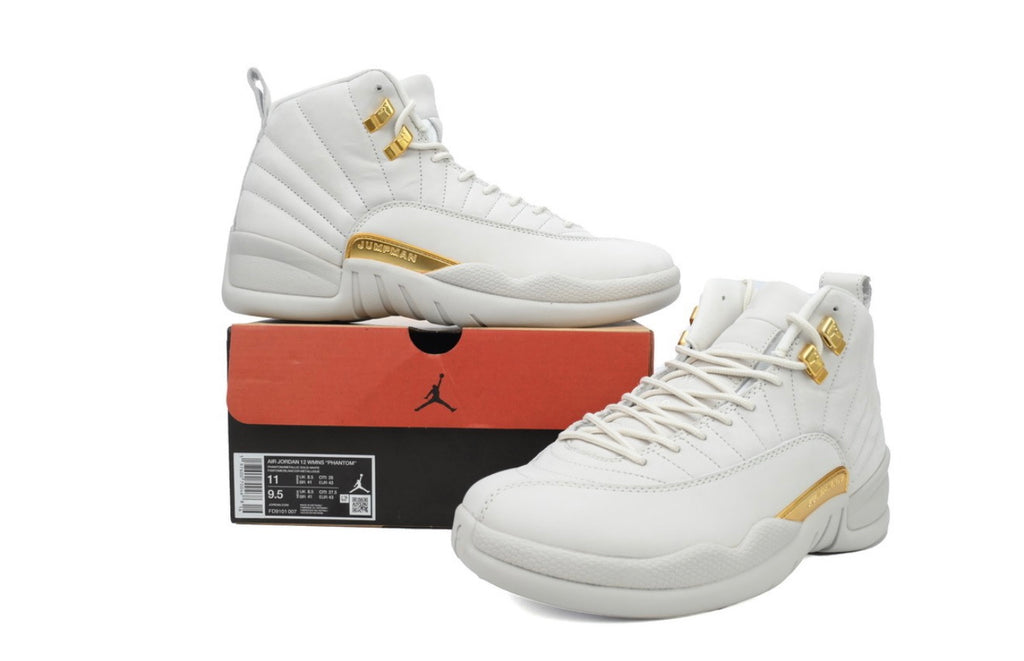 AJ12 AIR JORDAN 12 (MEN)