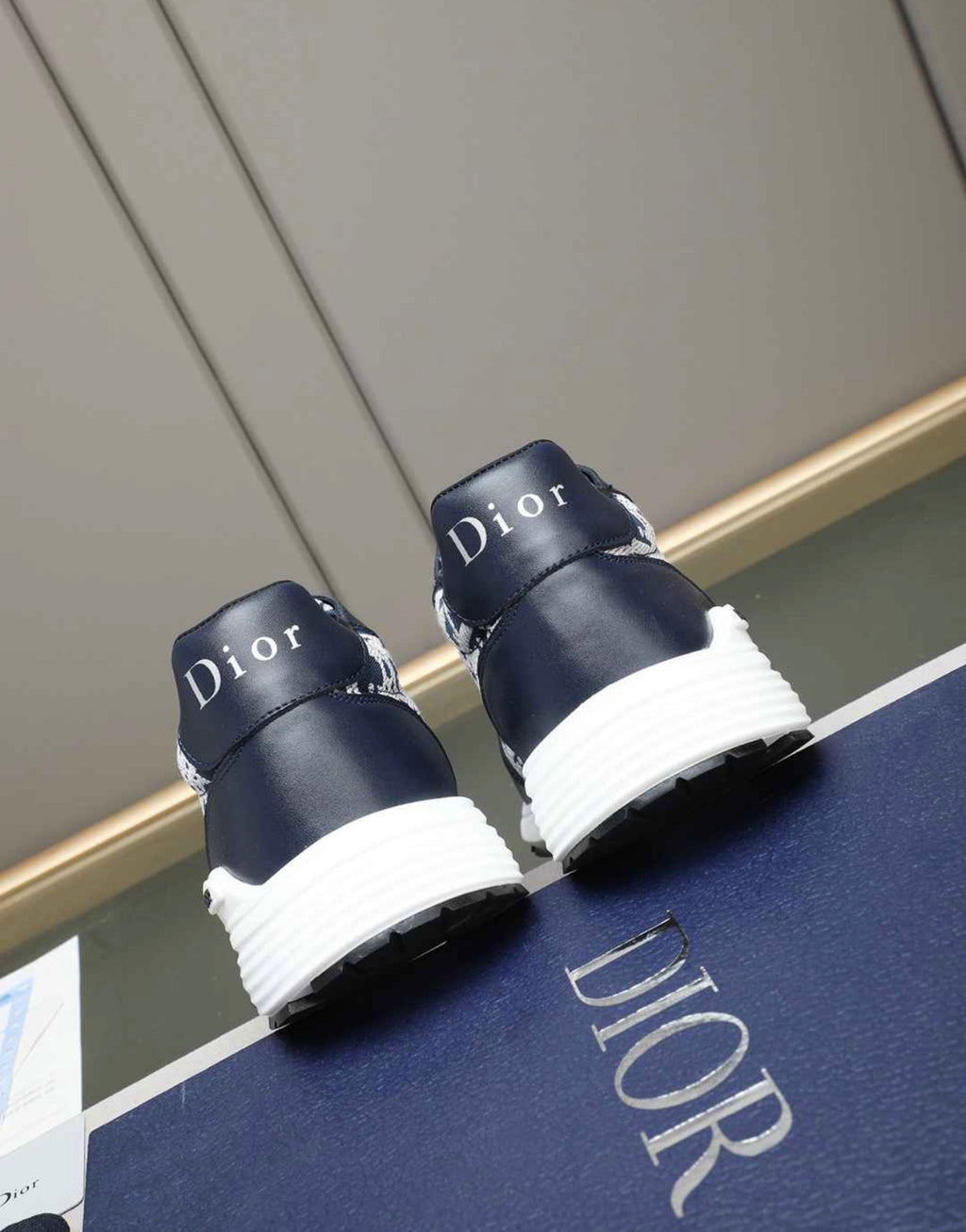 CHRISTIAN DIOR SNEAKERS (MEN)