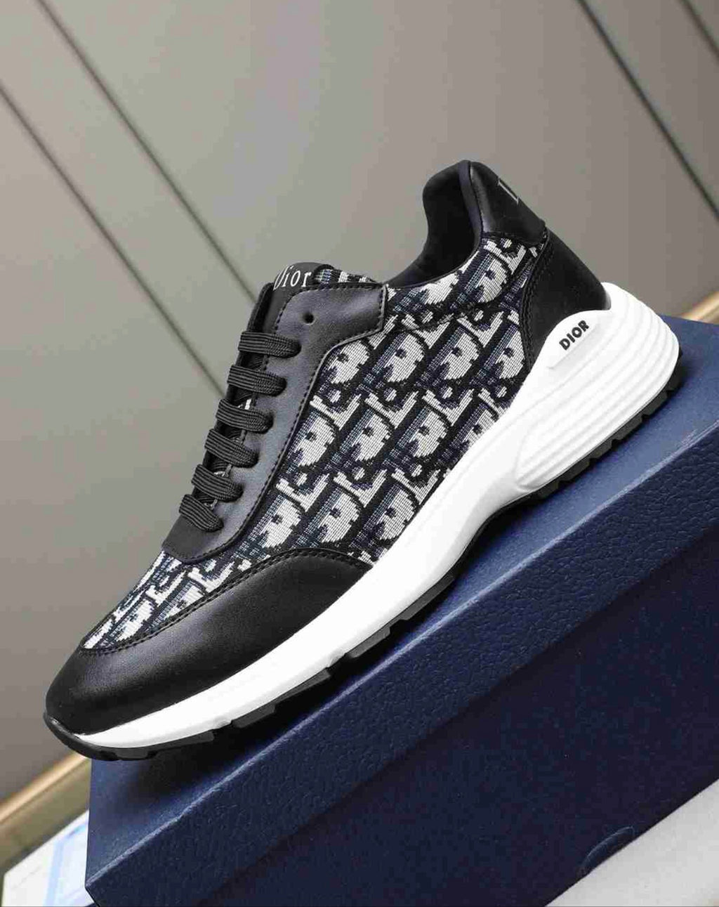 CHRISTIAN DIOR SNEAKERS (MEN)