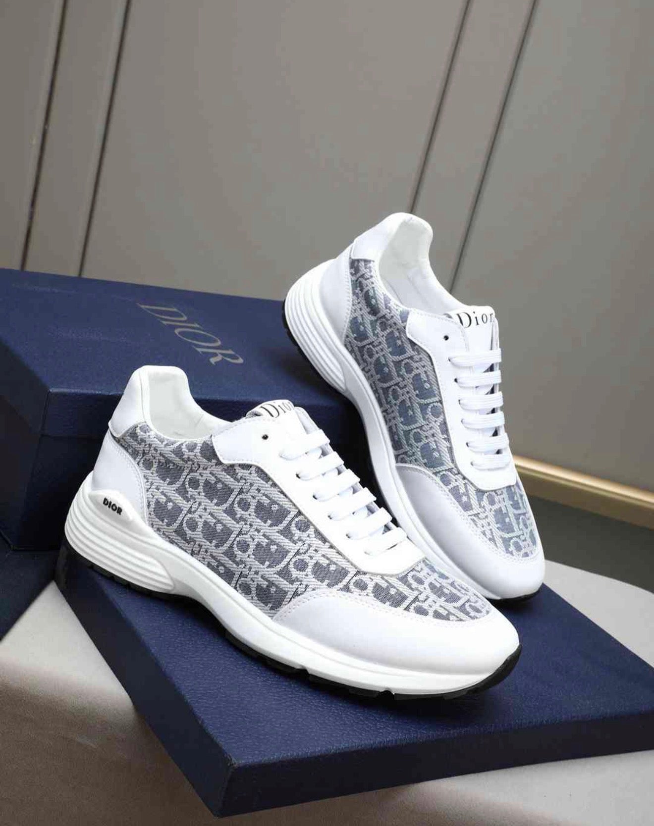 CHRISTIAN DIOR SNEAKERS (MEN)