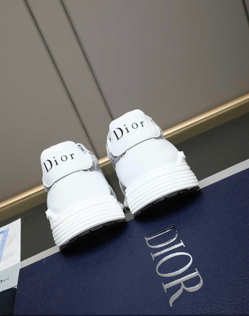 CHRISTIAN DIOR SNEAKERS (MEN)