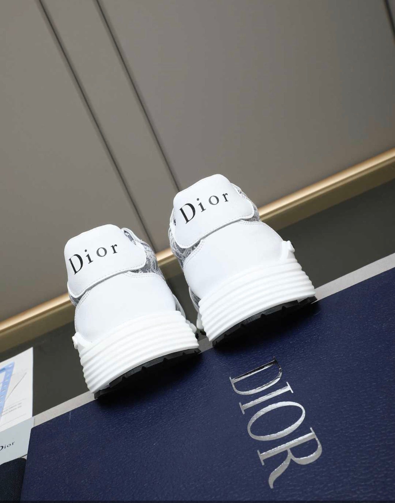CHRISTIAN DIOR SNEAKERS (MEN)