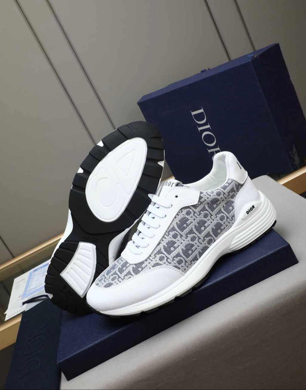 CHRISTIAN DIOR SNEAKERS (MEN)