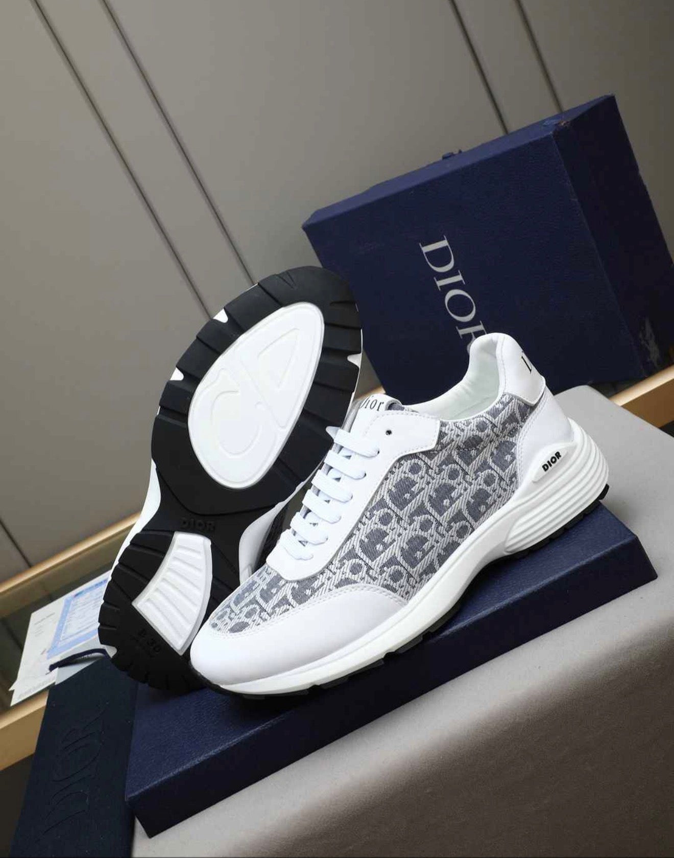 CHRISTIAN DIOR SNEAKERS (MEN)