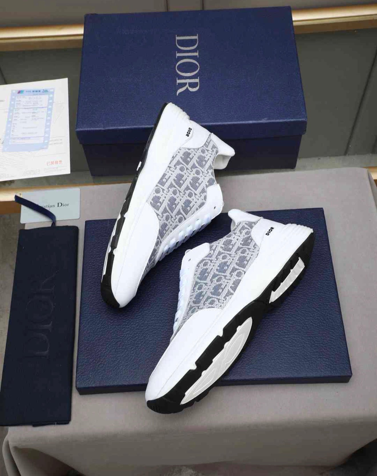 CHRISTIAN DIOR SNEAKERS (MEN)
