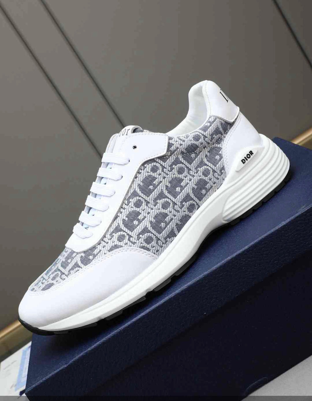 CHRISTIAN DIOR SNEAKERS (MEN)