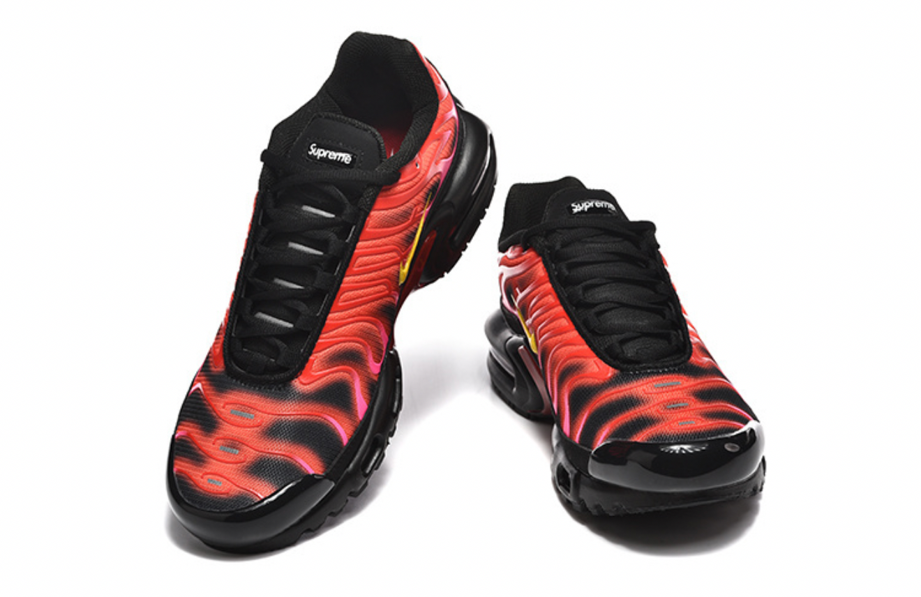 Brand new with box! Nike air max plus TN