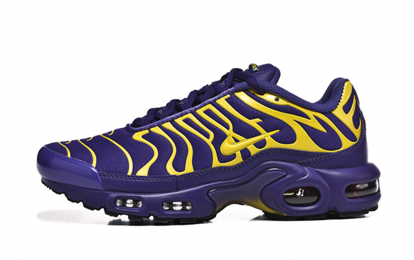 Brand new with box! Nike air max plus TN